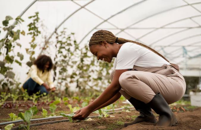greenhouse farming in Kenya